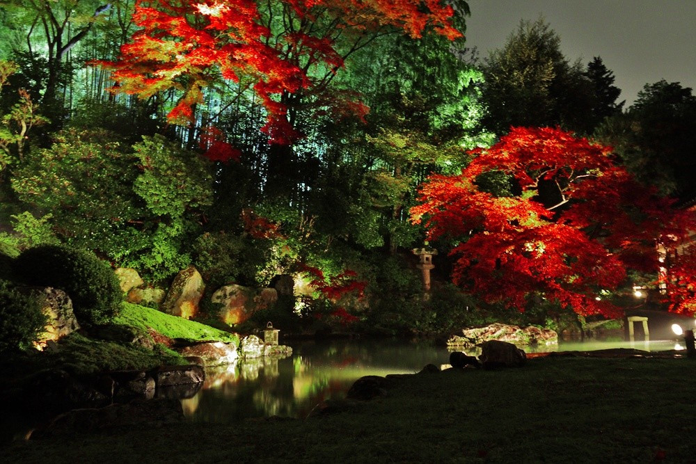 Địa điểm ngắm lá đỏ Kyoto